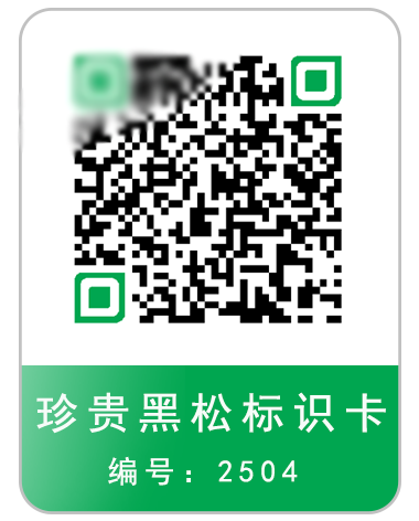 黑松二维码 物业绿化树木黑松二维码