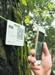 物业管理,绿化二维码标识化管理